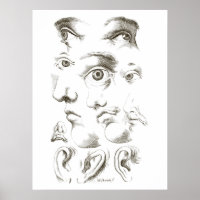 Augen, Profil, zeichnend Ohren, 17. Jahrhundert, V