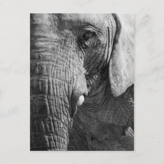 Augen-Spion Postkarte