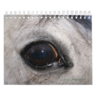 Augen-Spions-Foto-Kalender Kalender