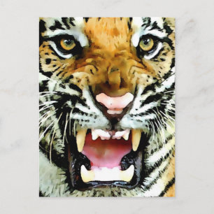 Augen von Tiger Postkarte