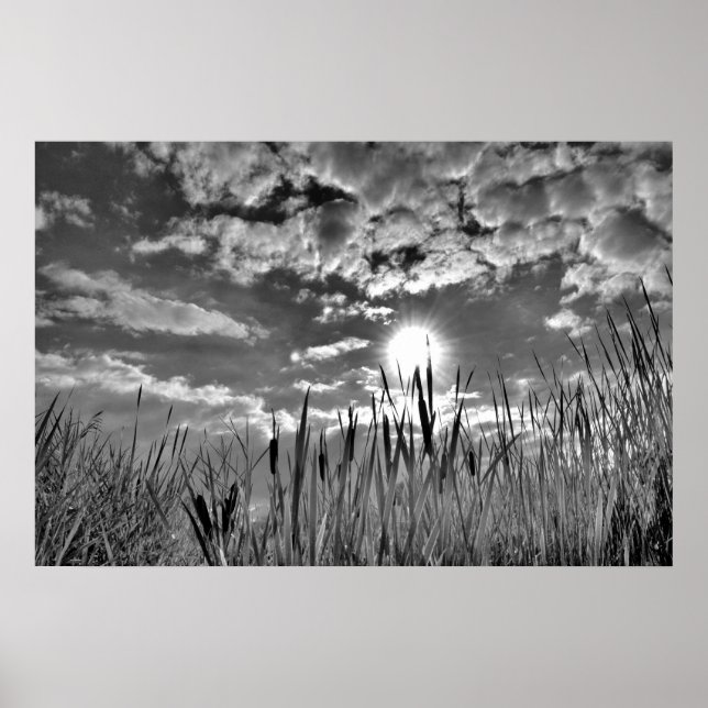 Augenblick der Ente Poster (Vorne)