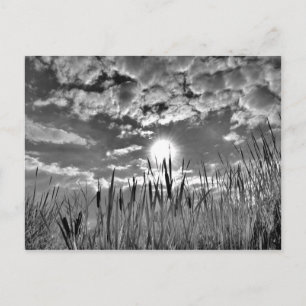 Augenblick der Ente Postkarte