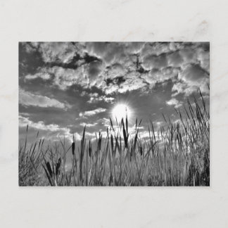 Augenblick der Ente Postkarte