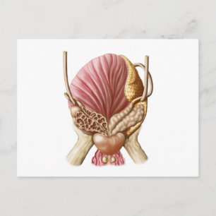 Augenblick der Harnblase Postkarte