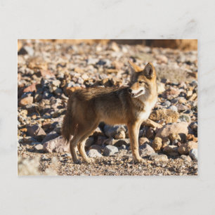 Augenblick Postkarte