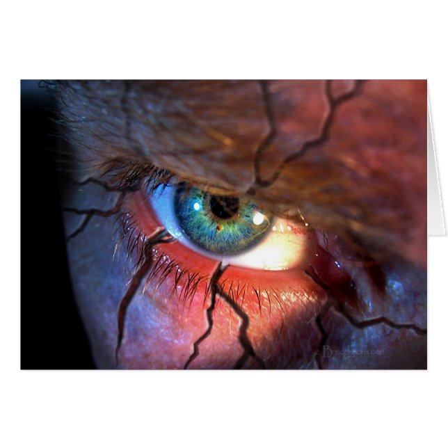 Augenbrauen (Vorderseite (Horizontal))