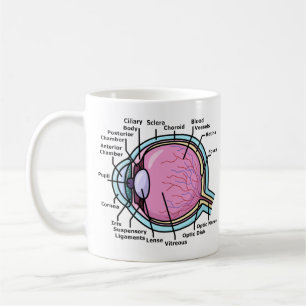 Augendiagramm Kaffeetasse