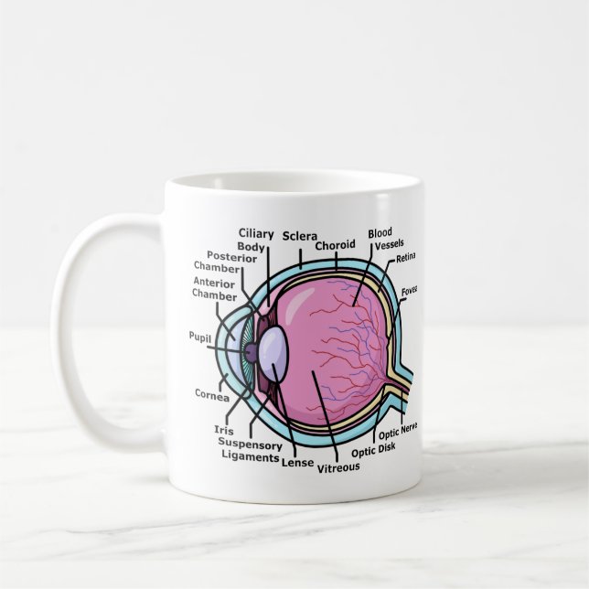 Augendiagramm Kaffeetasse (Links)