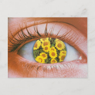 Augenerblüte Postkarte