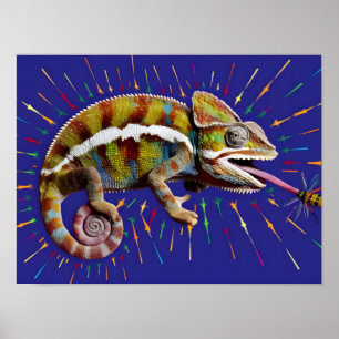 Augenfaszinierende farbenfrohe Chameleon Poster