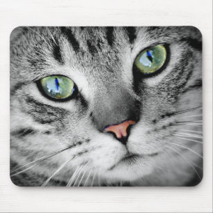 Augenkatze Mousepad