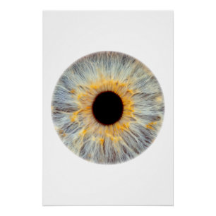 Augenposter Poster