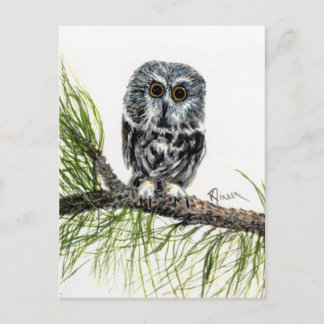 Augenweide-Postkarte Postkarte