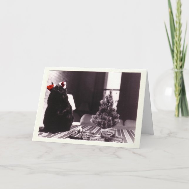 Auggies Weihnachten (Vorderseite)