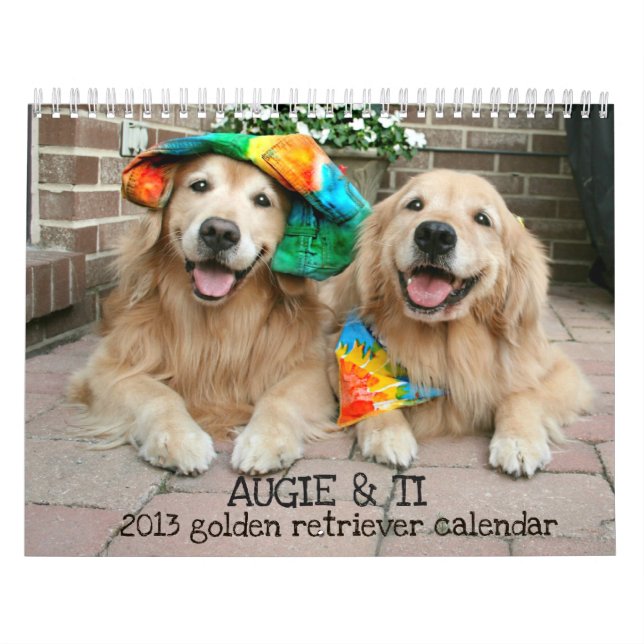 Augie u. das golden retriever-Kalender 2013 des Ti Kalender (Titelbild)