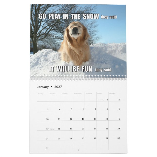 Augie u. des Ti Witze und Memes golden retriever Kalender (Jan 2027)