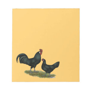 Augsburger Chickens Notizblock