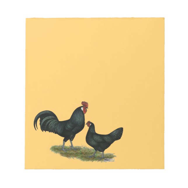 Augsburger Chickens Notizblock (Vorderseite)