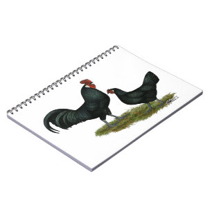 Augsburger Chickens Notizblock