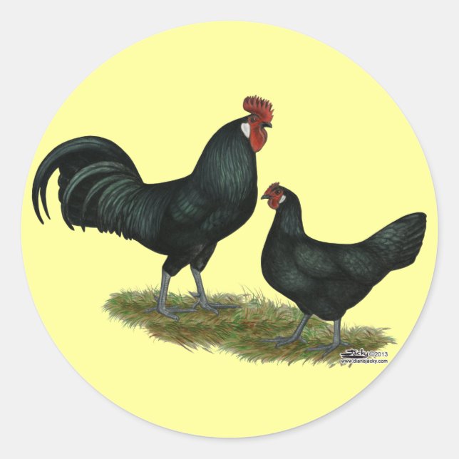 Augsburger Chickens Runder Aufkleber (Vorderseite)