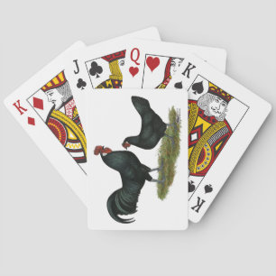 Augsburger Chickens Spielkarten