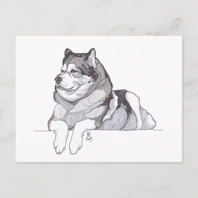 August 2019 Alaskan Malamute Postkarte (Vorderseite)