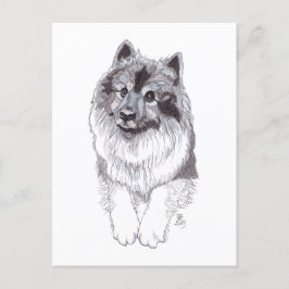 August 2019 Keeshond Postcard Ankündigungspostkarte