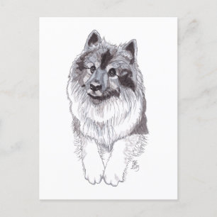 August 2019 Keeshond Postcard Ankündigungspostkarte