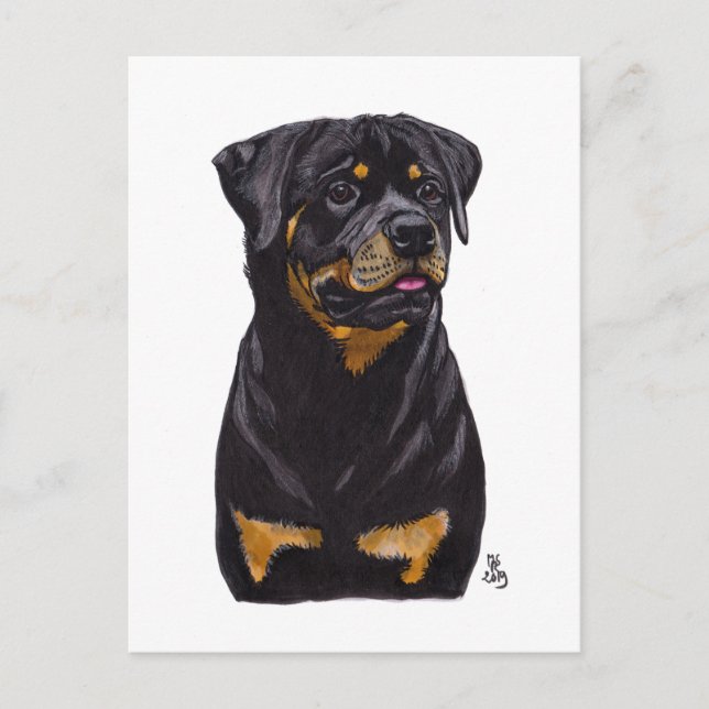 August 2019 Rotweiller Postkarte (Vorderseite)