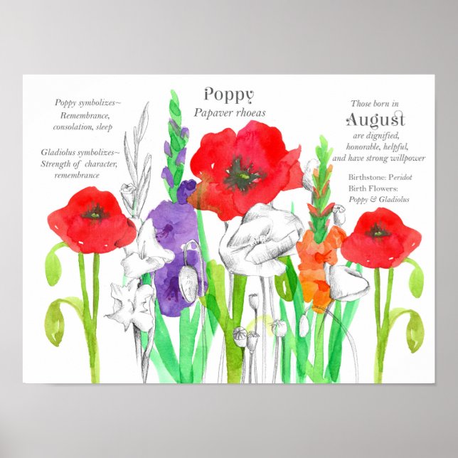 August Birthday Poppies Gladiolus Birth Blume Poster (Vorne)