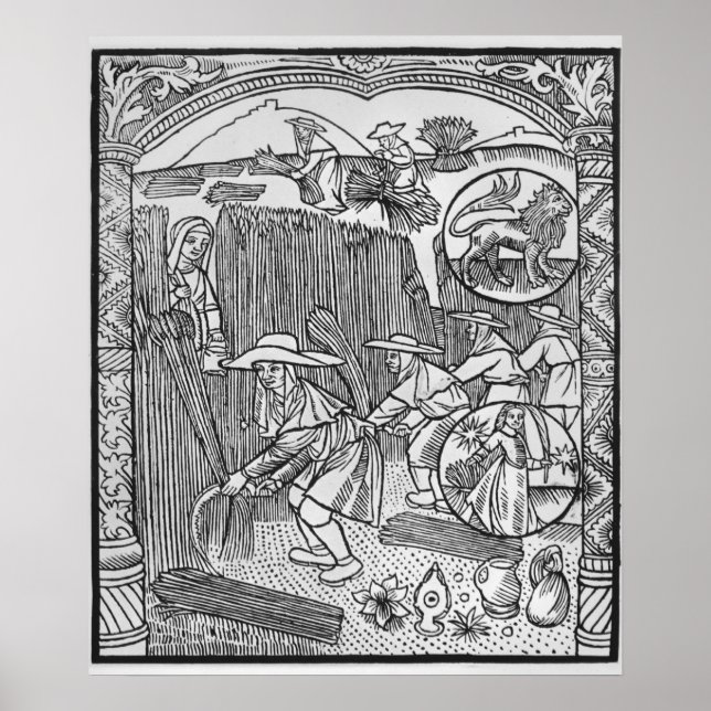 August, Ernte, Leo Poster (Vorne)