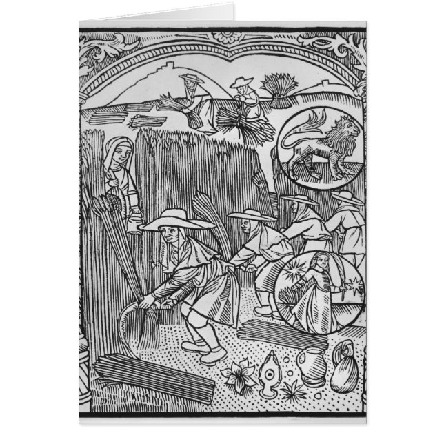 August, erntend, Löwe (Vorne)