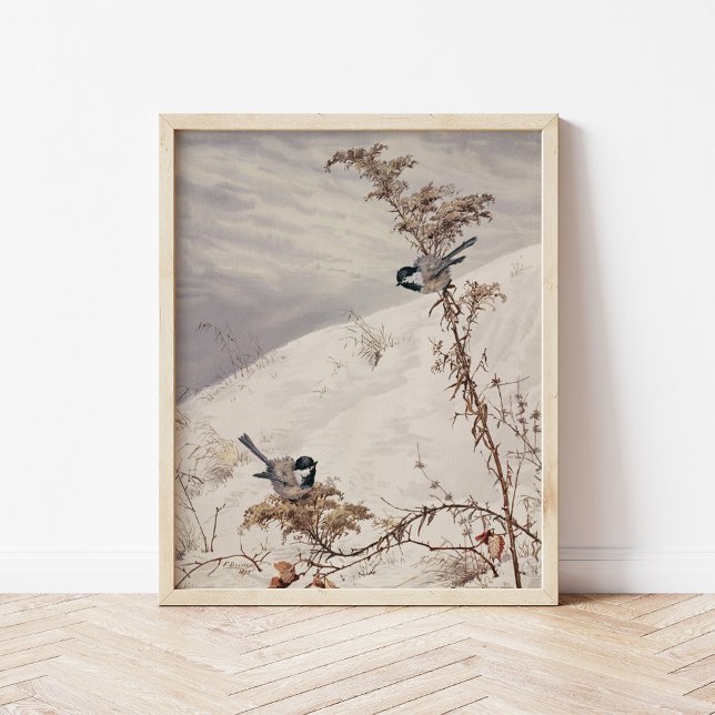 August | Fidelia Bridges Poster (Von Creator hochgeladen)