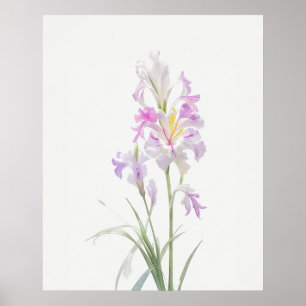 August Gladiolus Birth Blume Poster