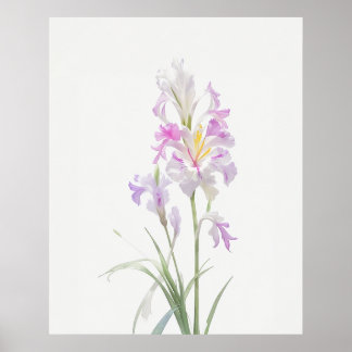 August Gladiolus Birth Blume Poster