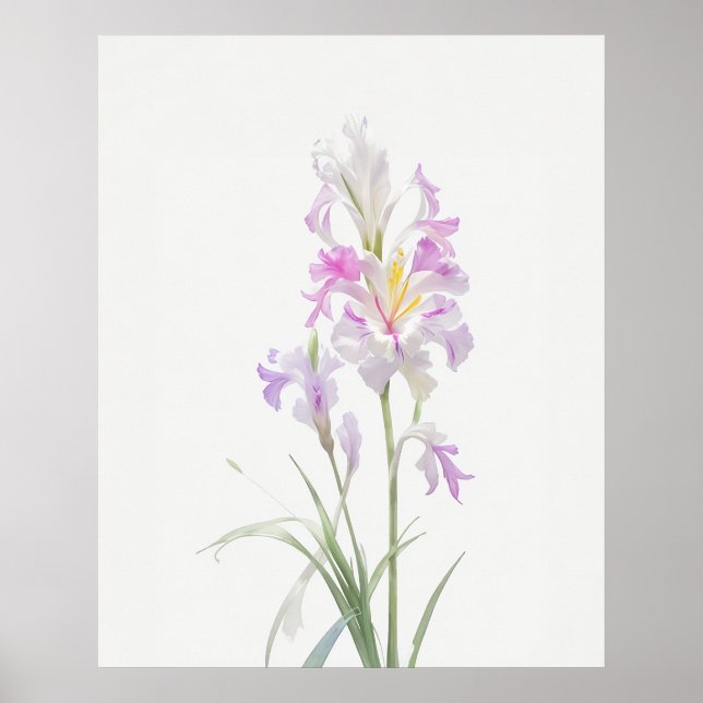 August Gladiolus Birth Blume Poster (Vorne)