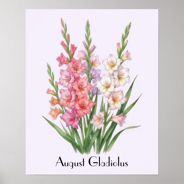 August Gladiolus Blumen Poster (Vorne)