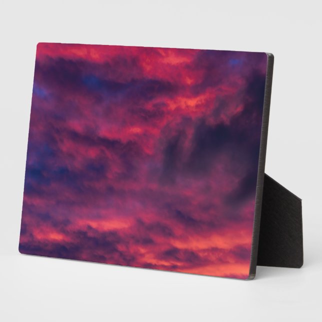 August rot fotoplatte (Seite)