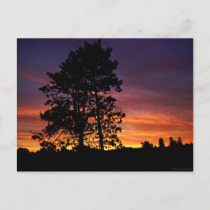 August Sunrise Postcard Postkarte