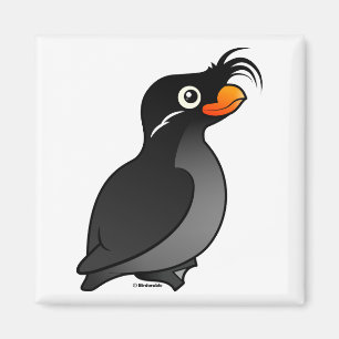 Auklet mit Haube Magnet