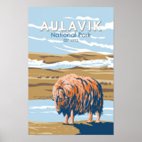 Aulavik Nationalpark Canada Musk Ox Vintag