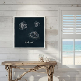 Aurelia aurita Educational Poster