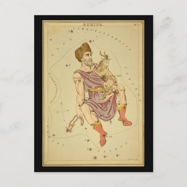 Auriga Postkarte (Vorderseite)