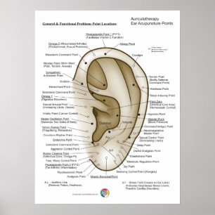Aurikulotherapie-Ohr-Akupunktur Poster