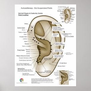 Aurikulotherapie-Ohr-Akupunktur Poster