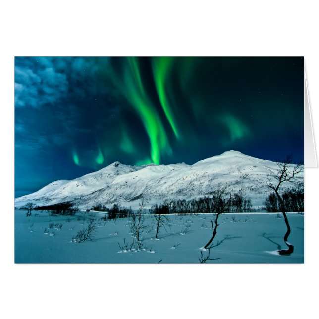 Aurora (Vorderseite (Horizontal))