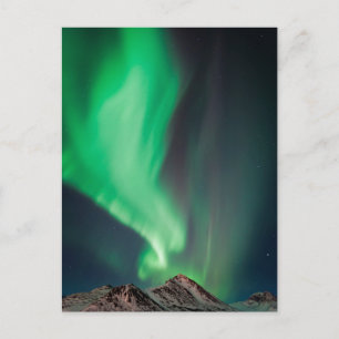 Aurora Borealis   Anchorage, Alaska Postkarte