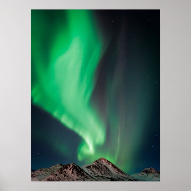 Aurora Borealis | Ankerplatz, Alaska Poster (Vorne)