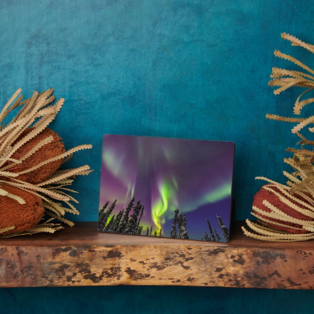 Aurora Borealis | Banken, Alaska Fotoplatte (Seite)