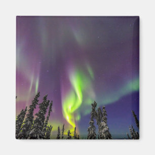 Aurora Borealis   Banken, Alaska Magnet